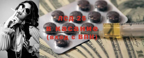 индика Костерёво