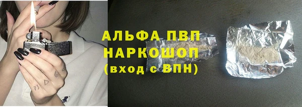 индика Костерёво