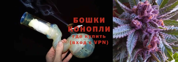 индика Костерёво