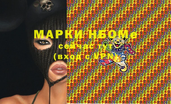 индика Костерёво