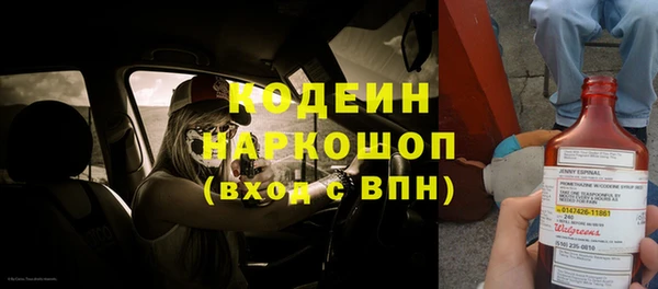 индика Костерёво