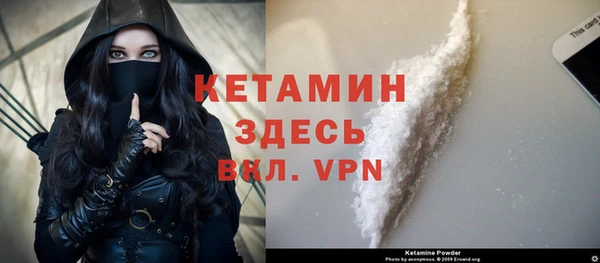 индика Костерёво