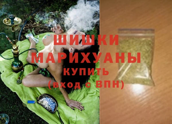 индика Костерёво
