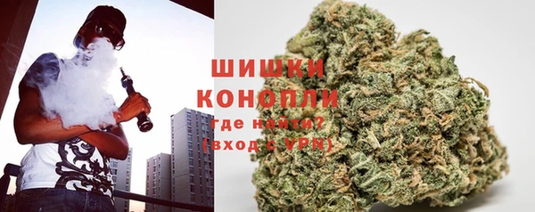 индика Костерёво