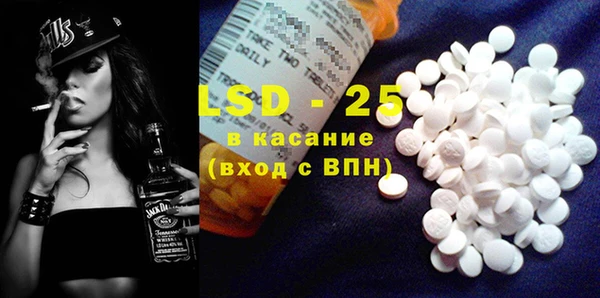 индика Костерёво