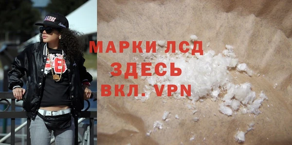 индика Костерёво