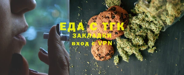 индика Костерёво