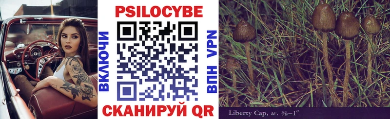 ОМГ ОМГ ССЫЛКА  Бийск  Псилоцибиновые грибы Cubensis 