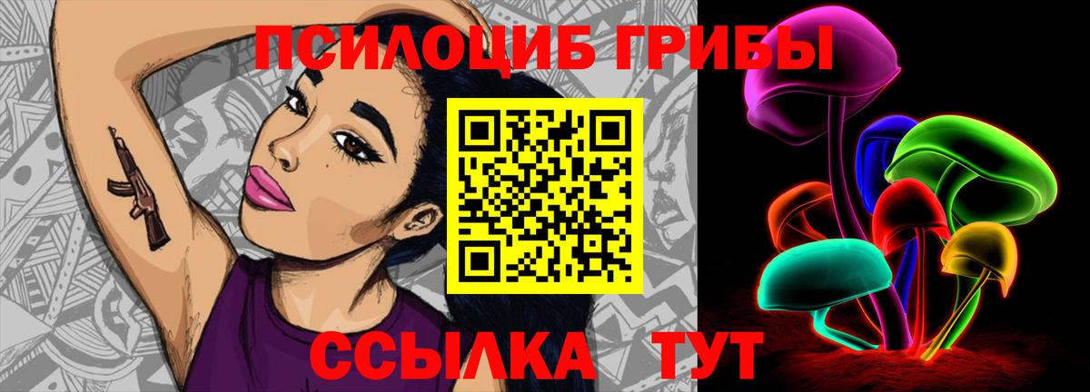 Галлюциногенные грибы GOLDEN TEACHER  купить  цена  Галлюциногенные грибы Psilocybine cubensis  Бийск  Вход с VPN 
